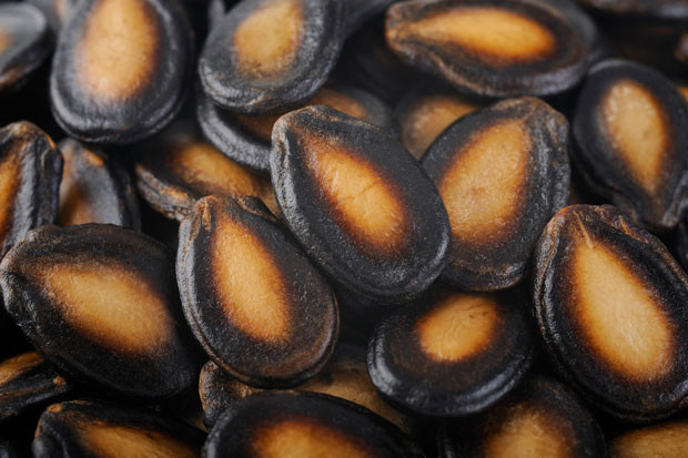 Karpuz faydalı, peki ya çekirdeği