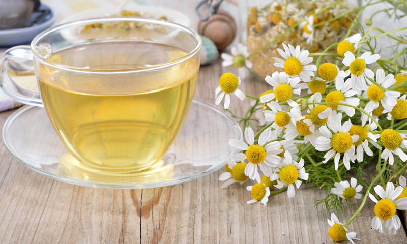 Ağrı kesici yerine mayıs papatyası