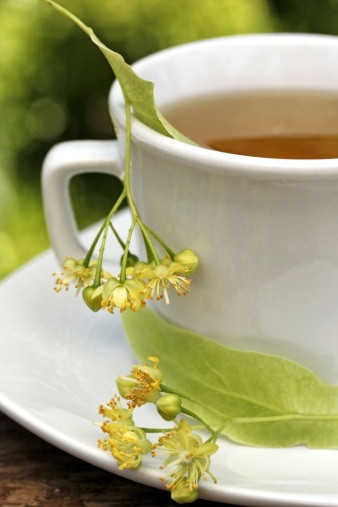 Tarçın ile içilen salep uzun süre tokluk sağlıyor