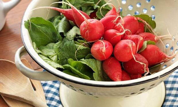 Canan Karatay: “Turp yiyin turp gibi olun”