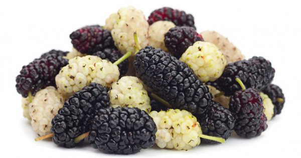 Halsizliğe karşı dut tüketin