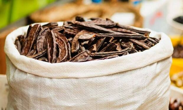 Keçiboynuzu, kemik erimesine karşı savaşıyor