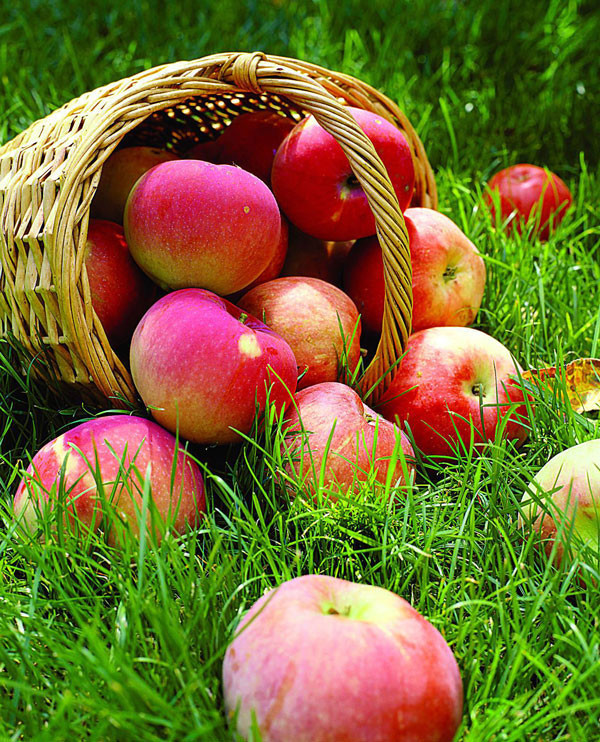 Kış sebze ve meyvelerinin bilinmeyen yararları