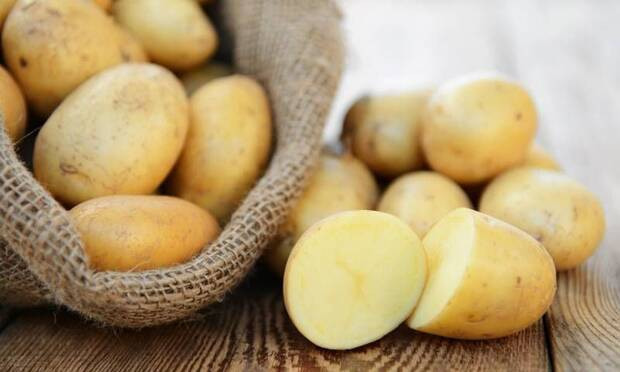 Domatesi buzdolabında saklamayın