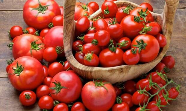 Alkali nedir Alkali diyet nasıl yapılır