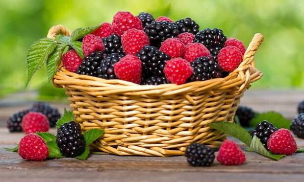 Bebekler için en sağlıklı yaz besinleri