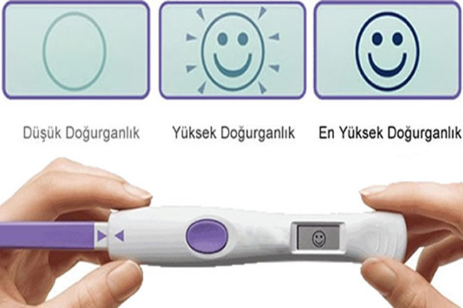 Yumurtlama döneminin hesaplanması neden önemli