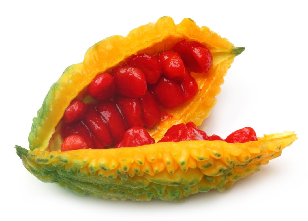 Kudret narının faydaları nelerdir