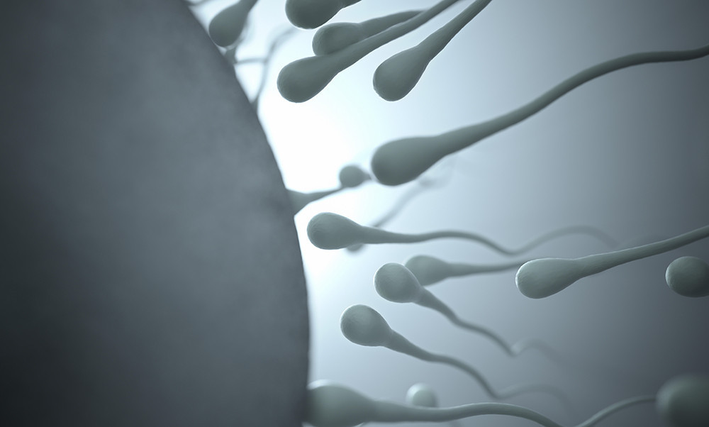 Hamile kalmak için kaç kez cinsel ilişkiye girmek gerekir