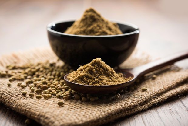 Kişnişin yaprakları da tohumları da faydalı