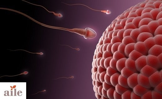 Sperm Öldürücüler