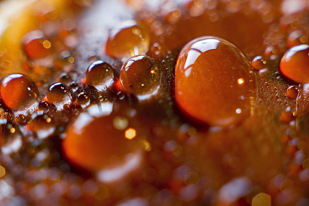 Şifa kaynağı: Kestane balı