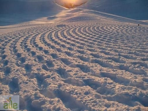 Karda ayak izleriyle sanat