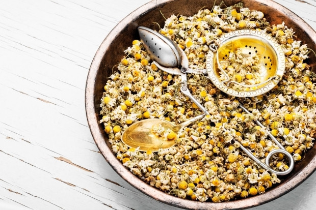 Papatya çayının tüketilmemesi gereken durumlar