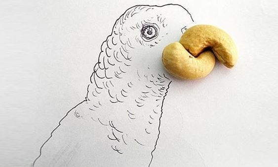 Victor Nunesın yaratıcı çalışmaları