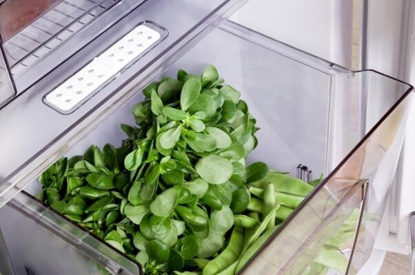 A ve C vitamini açısından zengin bir kaynak