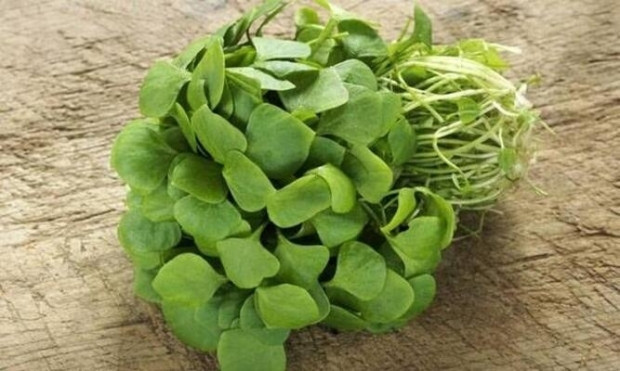 Kalorisi yok denecek kadar az