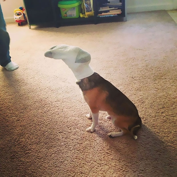 Çocukları evde tek bırakırken iki kez düşünün