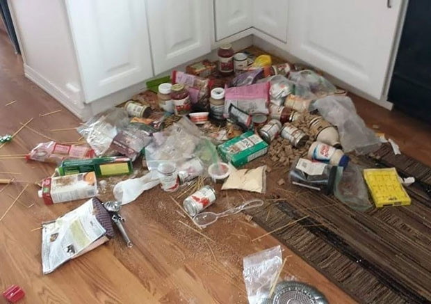 Çocukları evde tek bırakırken iki kez düşünün