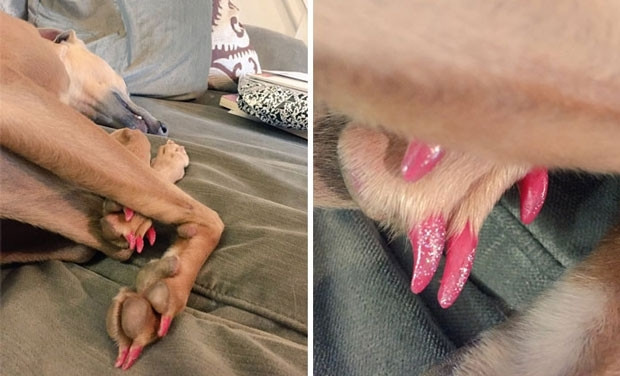 Çocukları evde tek bırakırken iki kez düşünün