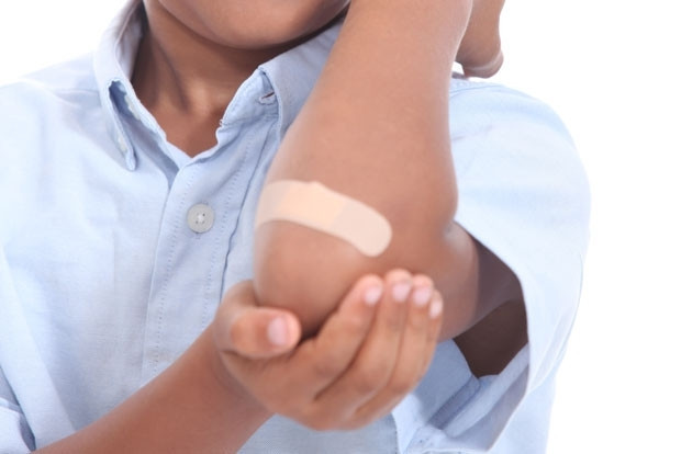 Sinek ve böcek ısırıkları