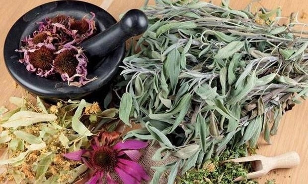 Hüplete hüplete içtiğiniz bitki çaylarının faydaları neler