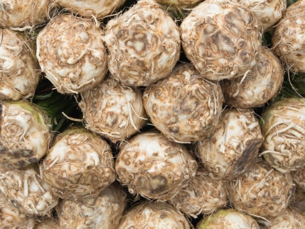 Sofranızdan eksik etmeyin Sonbaharın şifalı eli kereviz neye faydalı