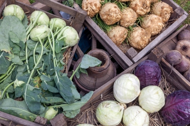 Kronik hastalık riskini azaltır