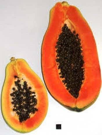 Silphium yöntemi