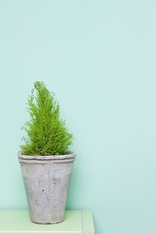 Bereket kasesi Bereket kasesi