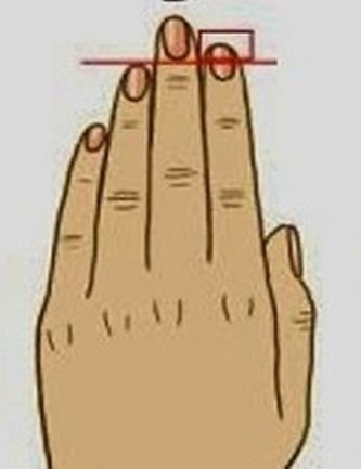 Elinizin şekli ve parmaklarınızın uzunluğu karakteriniz hakkında ne diyor