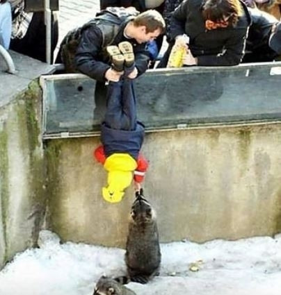 Babaları ile baş başa bırakılan çocukların hem dramatik hem de eğlenceli halleri