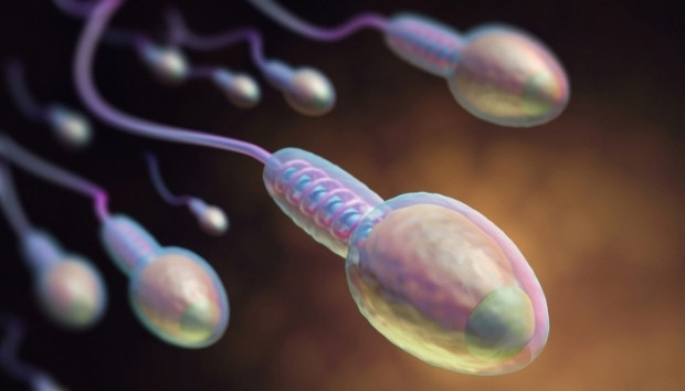 Sperm hakkında ilginç bilgiler