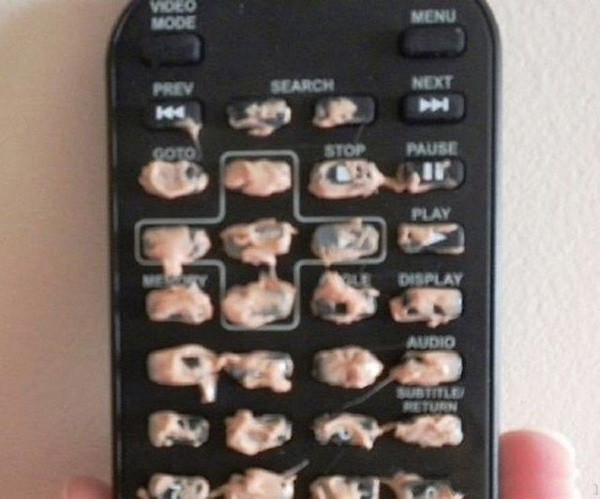 Yaramazlıkta sınır tanımayan 20 afacan