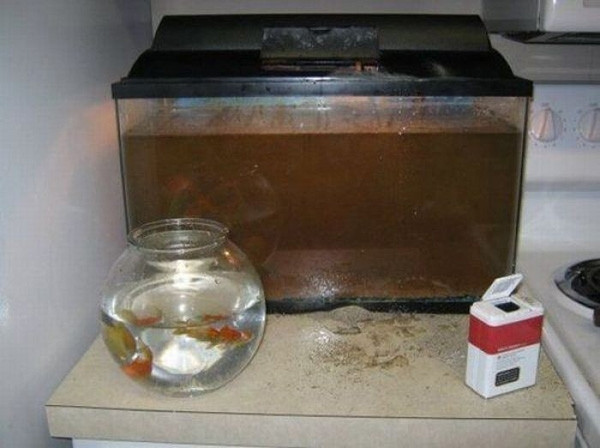 Yaramazlıkta sınır tanımayan 20 afacan