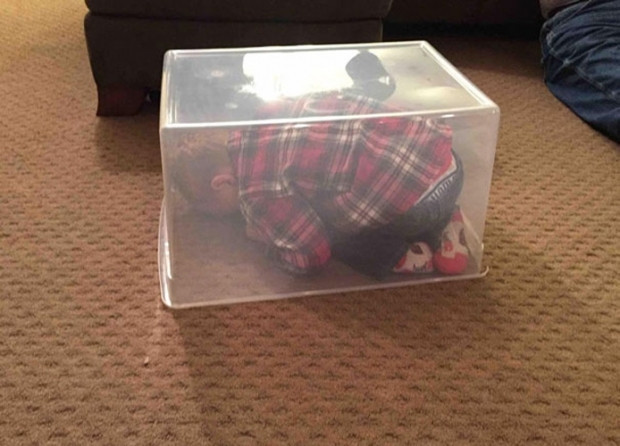 Gerçekten saklandığına inanan 20 sevimli çocuk