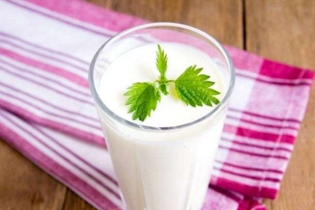 Hastalıklara karşı ev yapımı probiyotiklerle savaşın