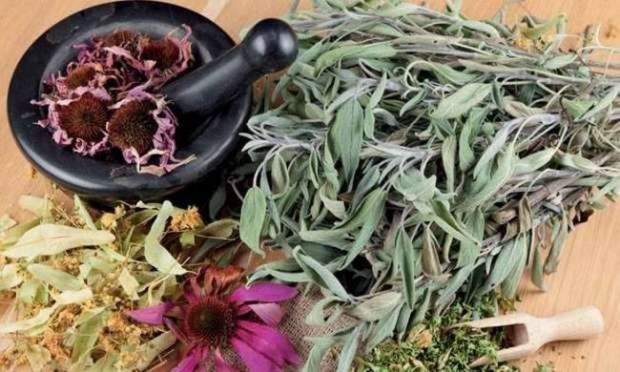 Sonbahar hastalıklarından şifalı çaylar ile korunun
