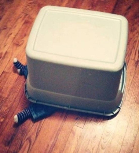 Saklanmayı pek beceremeyen 19 çocuk