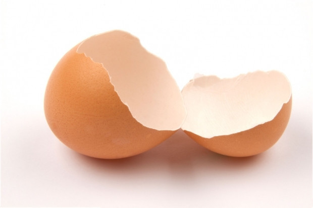 Yumurta kabuğunun mucize faydaları