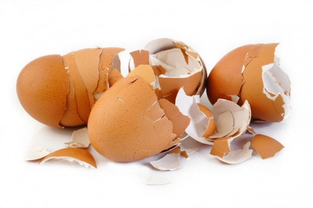 Yumurta kabuğunun mucize faydaları