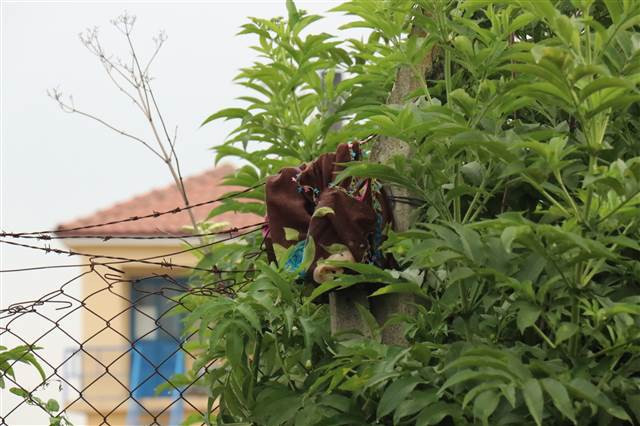 Sakaryadaki fabrikanın içi ve çevresinde oluşan hasarın boyutu gün yüzüne çıkmaya başlıyor