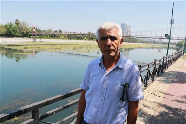 Seyhan Nehri yosunlar nedeniyle yeşile büründü