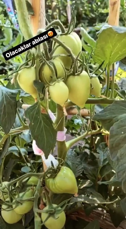 Ünlü oyuncu iki çocuğunu da alıp İstanbulu terk etti... Endonezyada yeni hayat