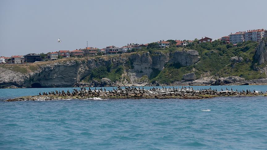 İstanbul’da fiyatı artan ev ilanlarının artış oranı haritası Salgın öncesinde ve sonrasında hangi ilçede fiyatlar ne oldu