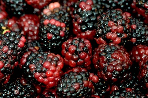 Yaz sıcaklarında serinlemek isteyenlere dut ile hazırlanabilecek lezzetli ve pratik bir smoothie tarifi;