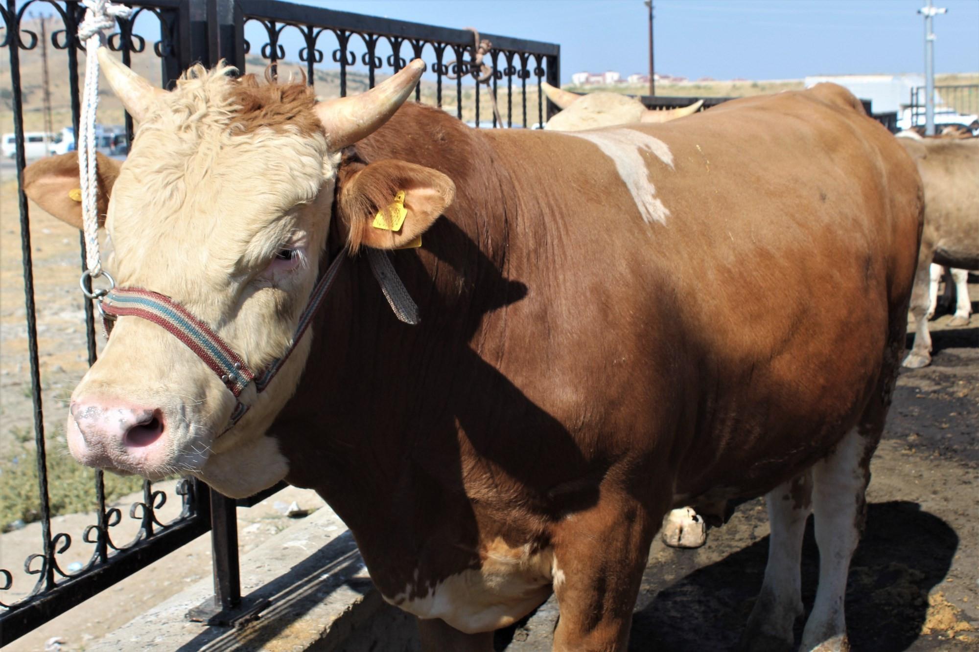 PTT ve bankalar ne zaman açılıyor, bayram tatili 2020 kaç gün Banka ve PTT mesai saatleri