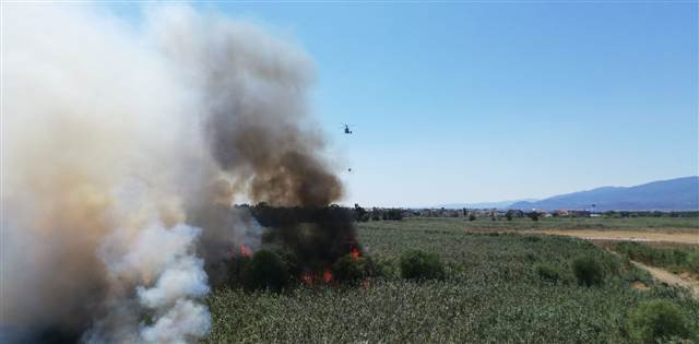Edremit Körfezinde yangın