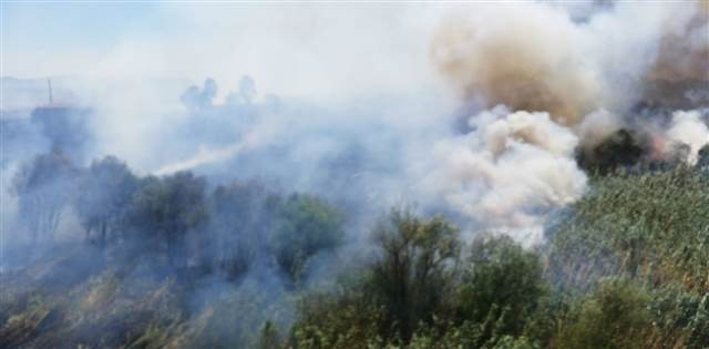 Edremit Körfezinde yangın