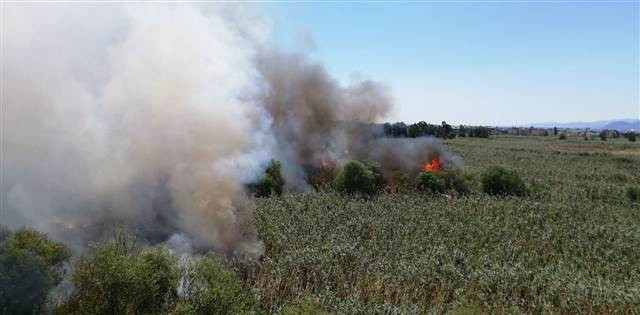 Edremit Körfezinde yangın
